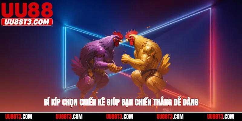 Bí kíp chọn chiến kê giúp bạn chiến thắng dễ dàng
