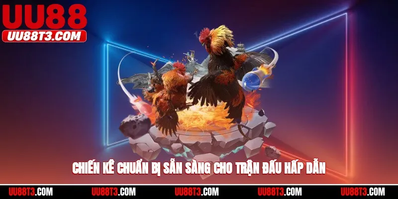 Chiến kê chuẩn bị sẵn sàng cho trận đấu hấp dẫn
